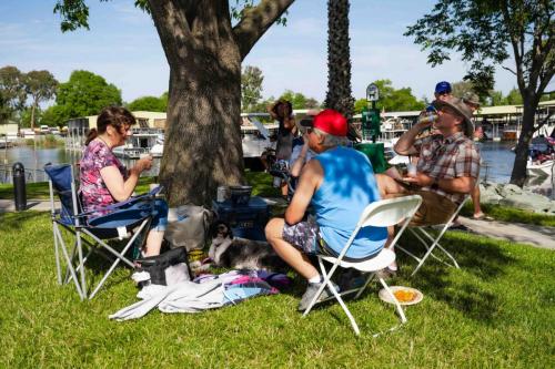 people on grass at marina
