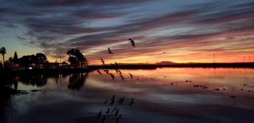 Village West Marina & Resort