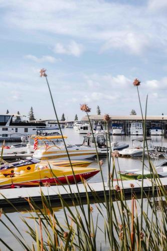 boats in water at marina