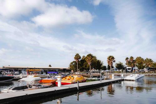 boats in water at marina