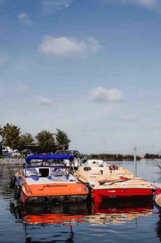 boat in water at marina