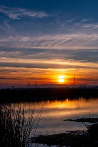 Village West Marina & Resort