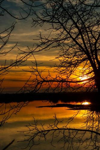 Village West Marina & Resort