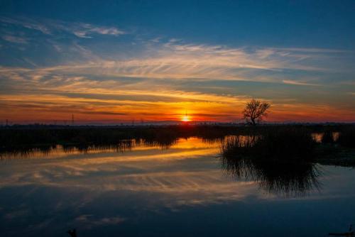 Village West Marina & Resort