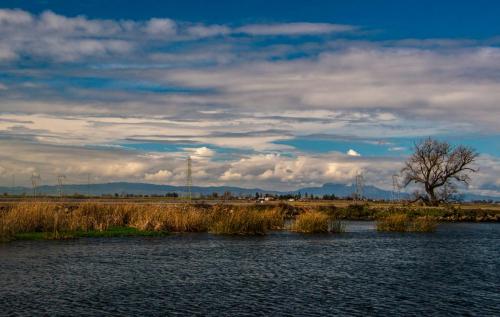 Village West Marina & Resort