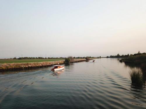 Taste of the Delta 2018  and Stephens Rendezvous Event