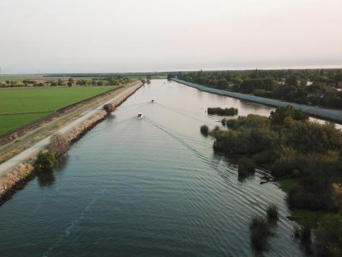 Taste of the Delta 2018  and Stephens Rendezvous Event