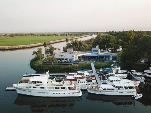 Taste of the Delta 2018  and Stephens Rendezvous Event