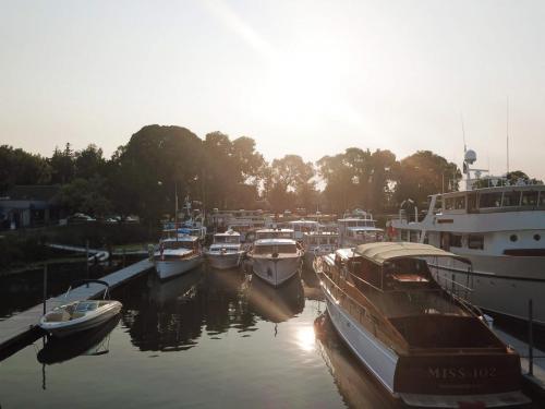 Taste of the Delta 2018  and Stephens Rendezvous Event